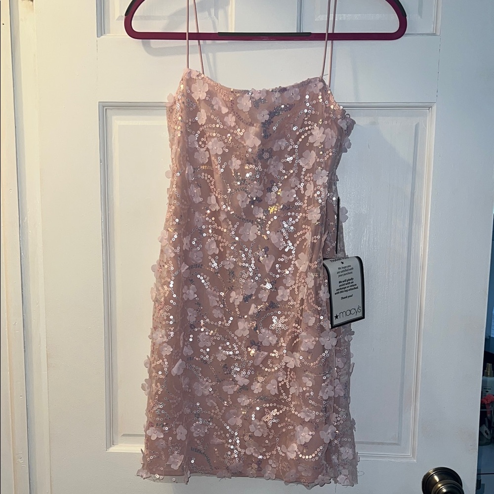 NWT Pink Sequin Floral Dress